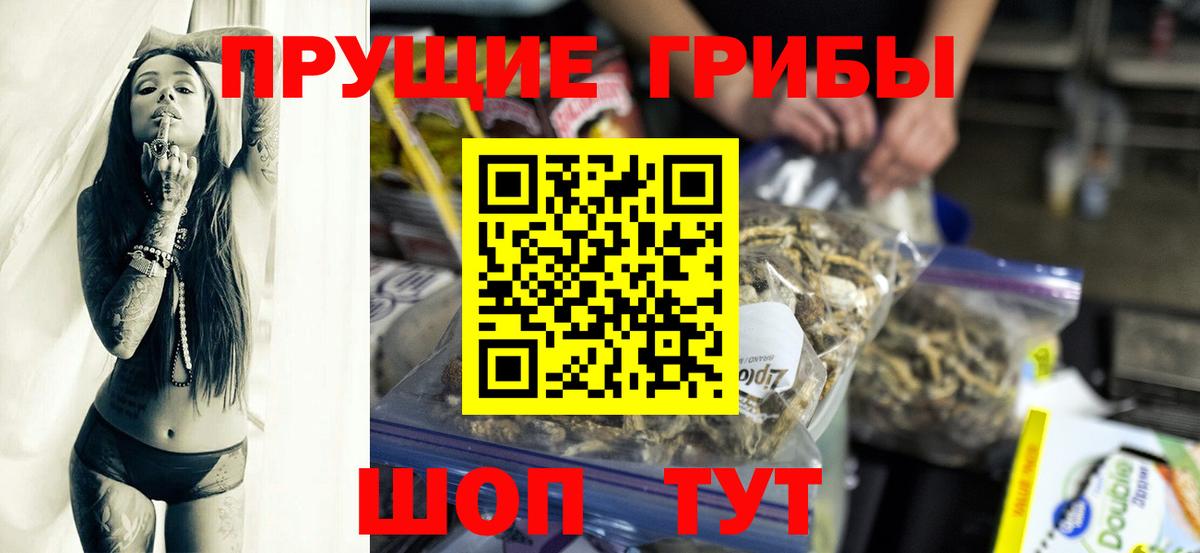 где купить   Галлюциногенные грибы мухоморы  Вход с VPN  Долгопрудный 