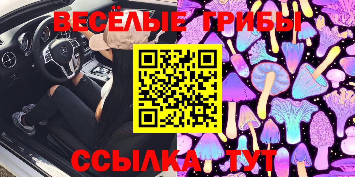 Псилоцибиновые грибы GOLDEN TEACHER Долгопрудный